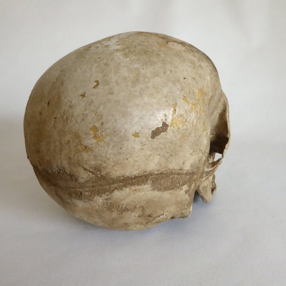 2006 DISNEY PIRATES OF THE CARIBBEAN OFFICIAL MOVIE FILM PROP PELEGOSTO SKULL - Picture 9 of 15